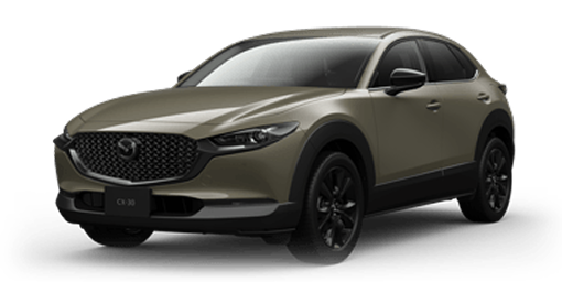 MAZDA CX-30　Retro Sports Edition