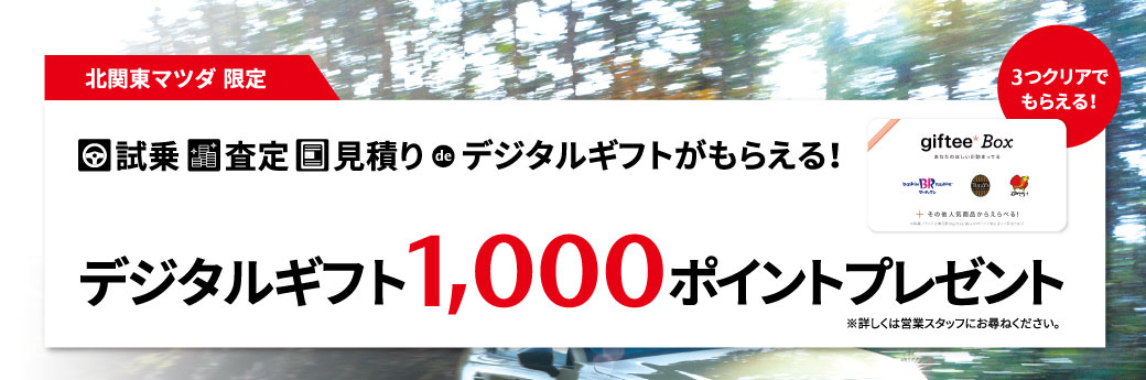 デジタルギフト 1,000ポイントプレゼント