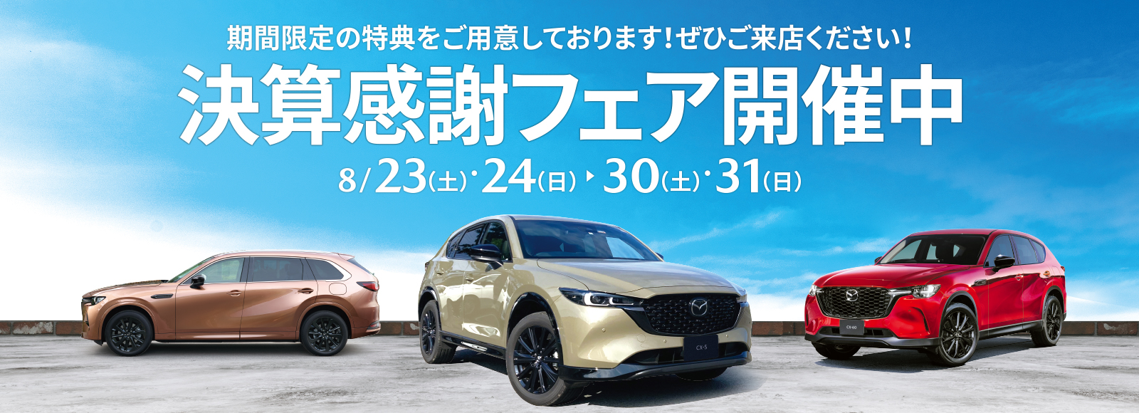 決算感謝フェア開催中。期間限定の特典をご用意しております！ぜひご来店ください！