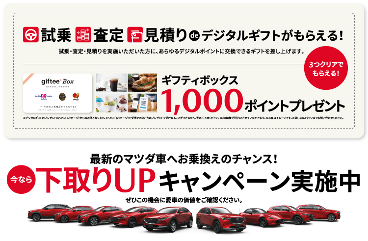 試乗、査定、見積でギフティーボックス 1,000ポイントプレゼント　下取りUPキャンペーン実施中