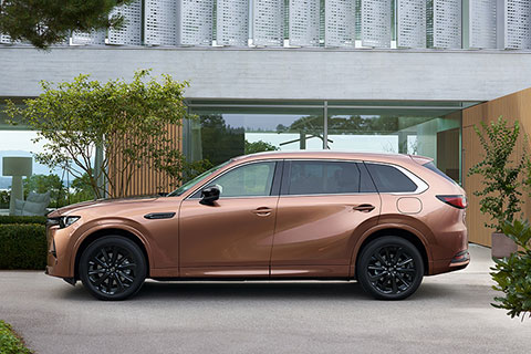 CX-80